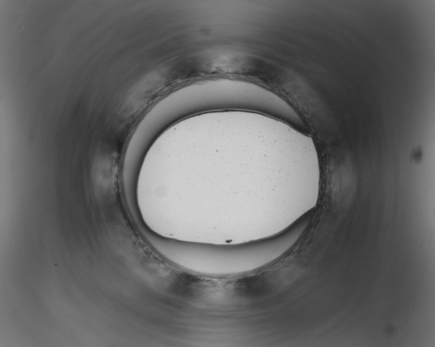 X0000116460328201001061043
