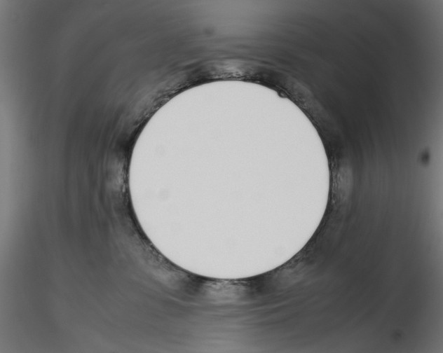 X0000116460331201001061043