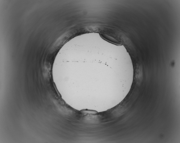 X0000116460332201001061043