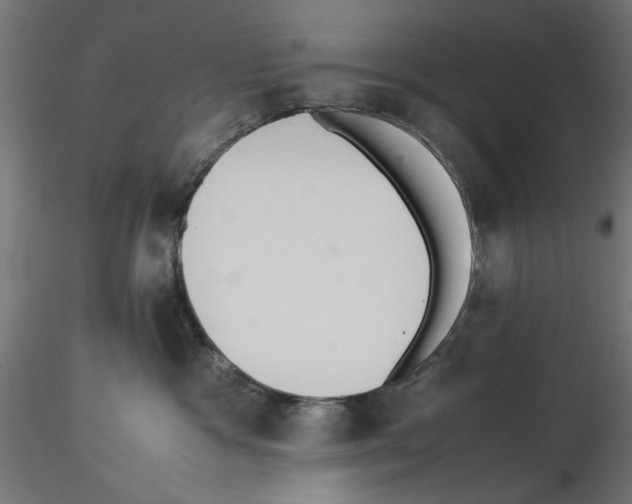 X0000116460333201001061043