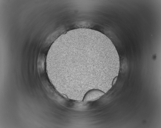 X0000116460334201001061043