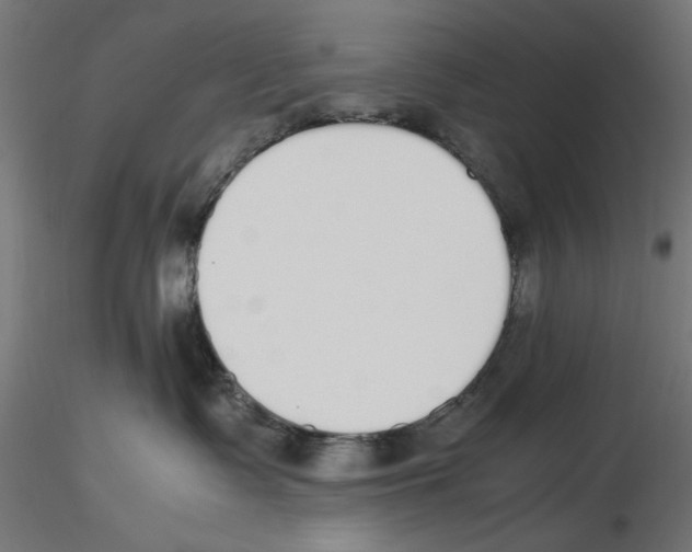 X0000116460335201001061043