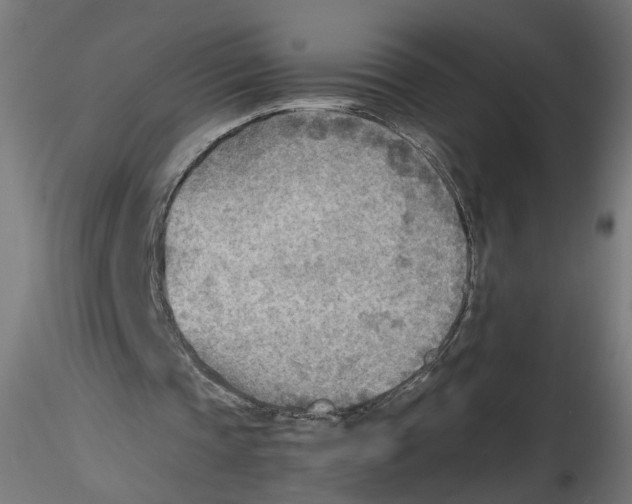 X0000116460337201001061043