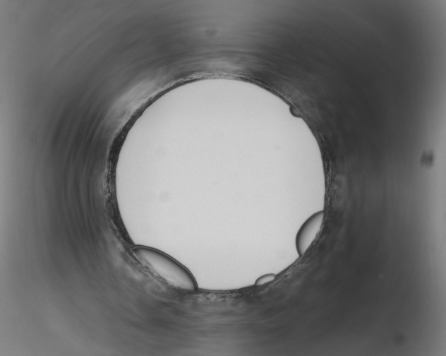 X0000116460338201001061043