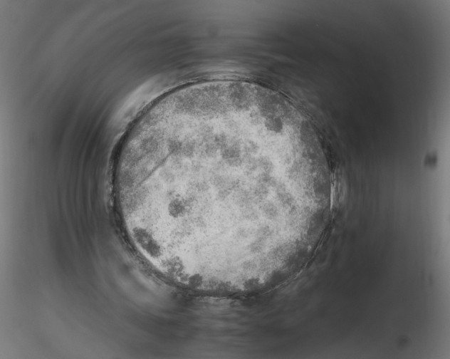 X0000116460339201001061043