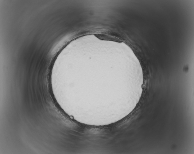 X0000116460341201001061043