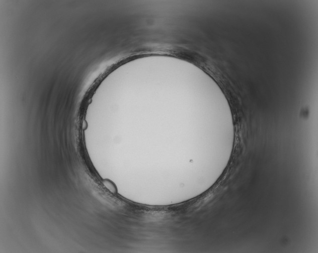 X0000116460342201001061043
