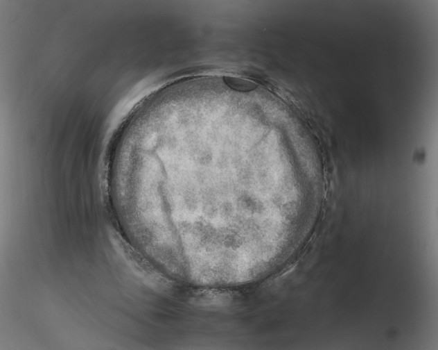 X0000116460343201001061043