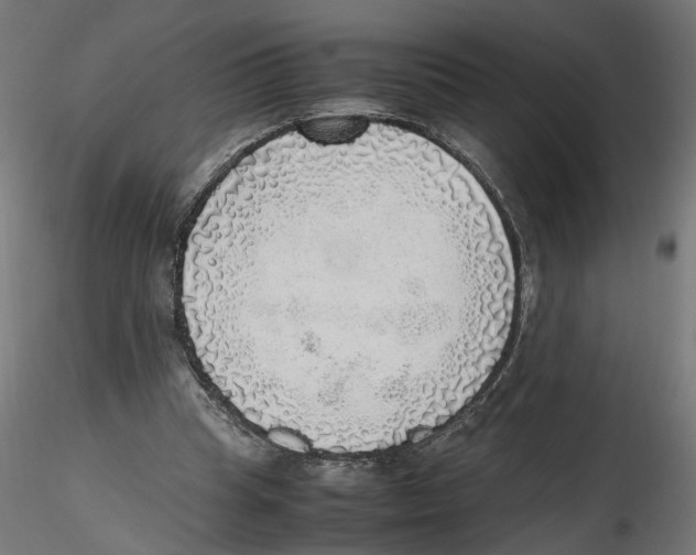 X0000116460345201001061043