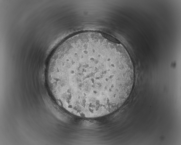 X0000116460346201001061043