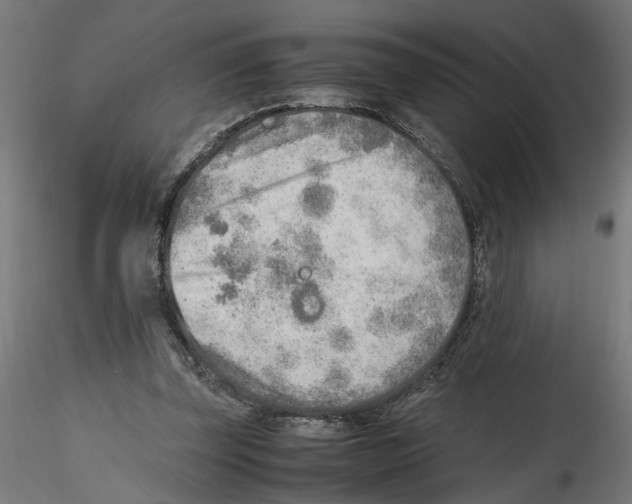X0000116460347201001061043