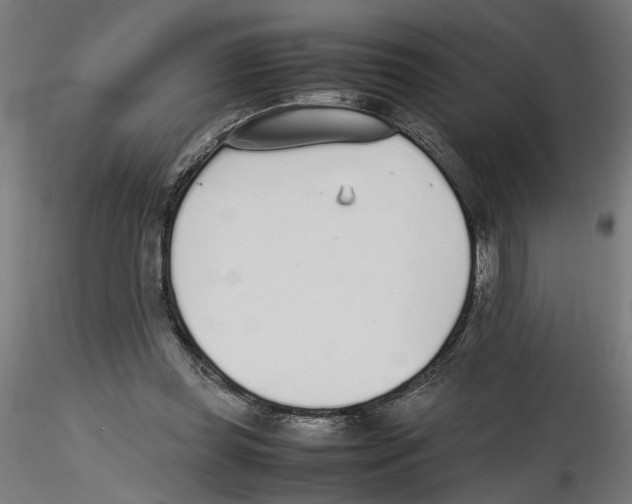 X0000116460349201001061043