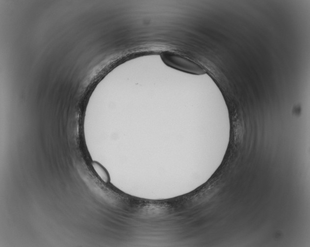 X0000116460350201001061043