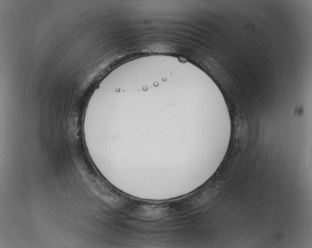 X0000116460351201001061043