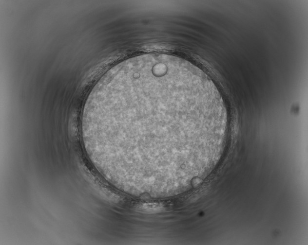 X0000116460353201001061043
