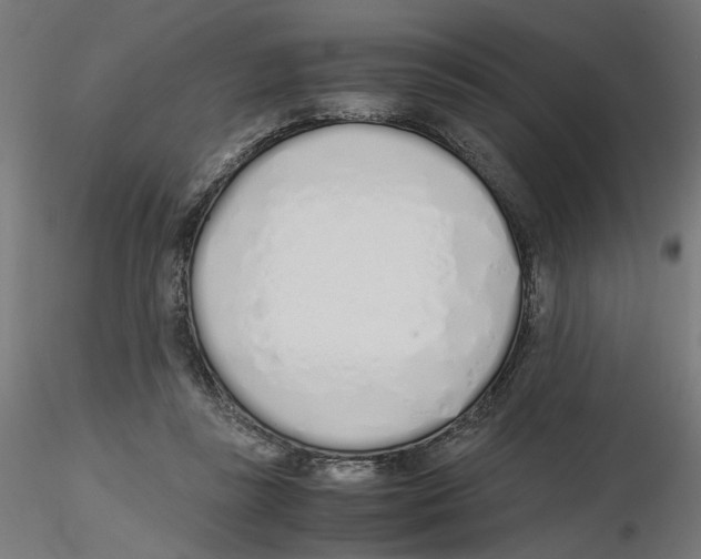 X0000116460355201001061043