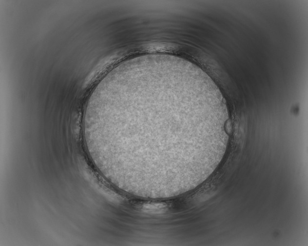 X0000116460357201001061043