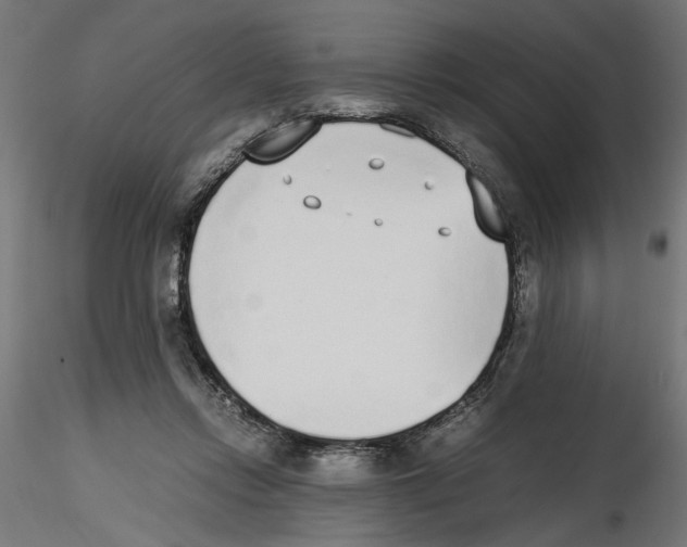 X0000116460358201001061043
