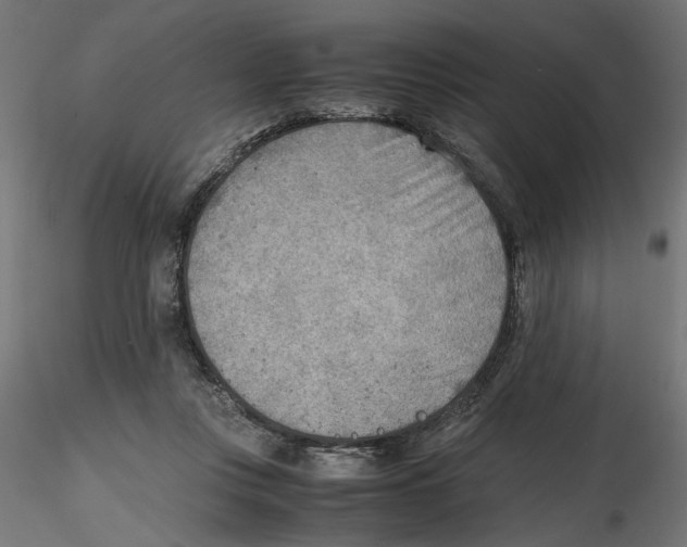 X0000116460359201001061043