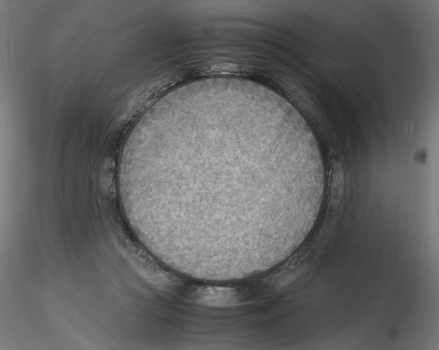 X0000116460361201001061043