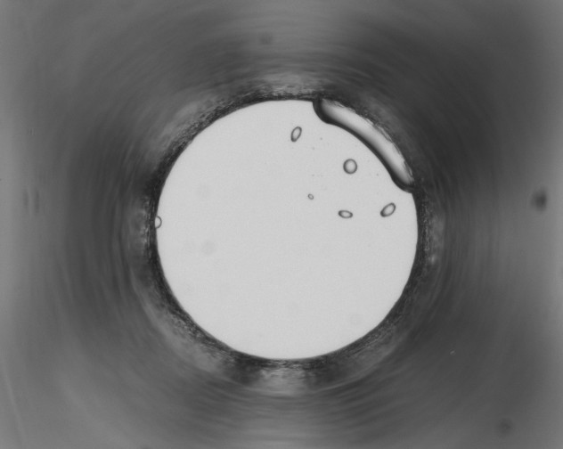 X0000116460362201001061043
