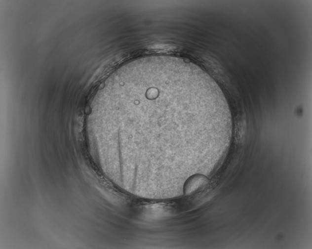 X0000116460365201001061043