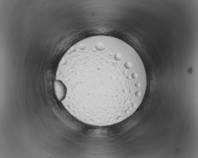 X0000116460366201001061043
