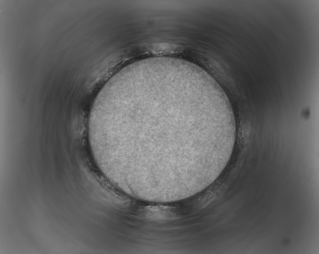 X0000116460367201001061043
