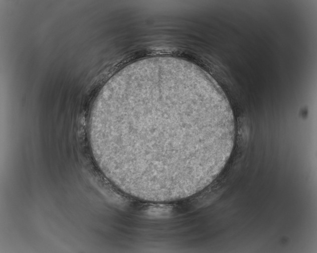 X0000116460369201001061043