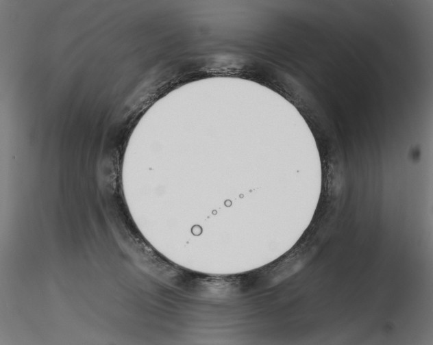 X0000116460370201001061043