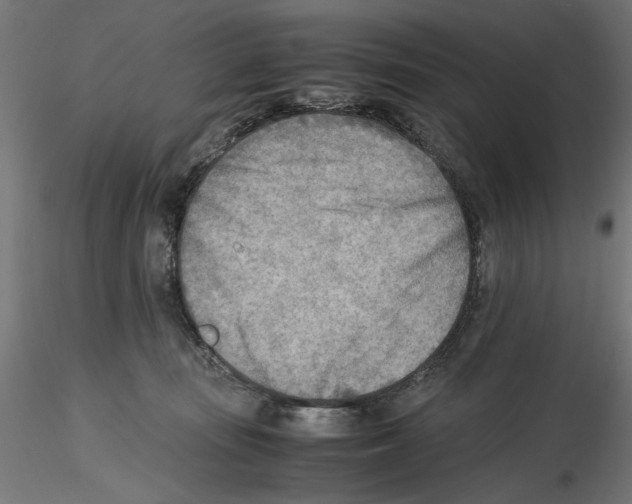 X0000116460371201001061043
