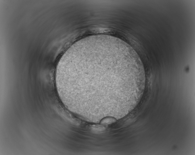 X0000116460373201001061043