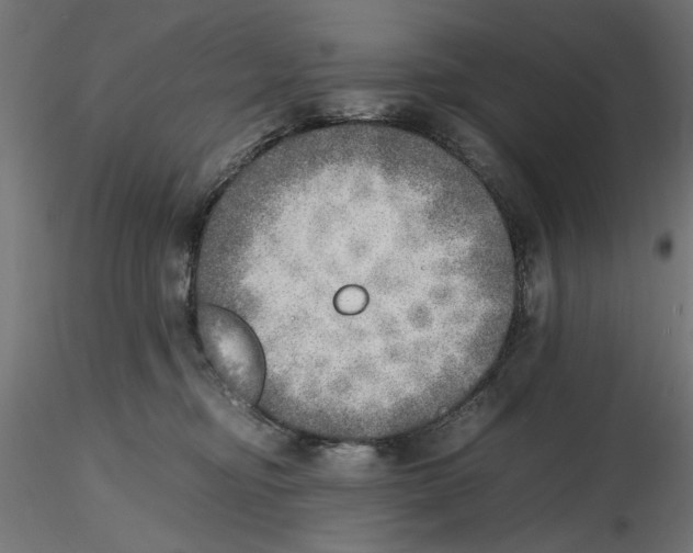 X0000116460374201001061043