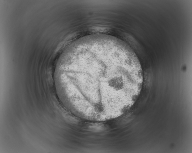 X0000116460377201001061043