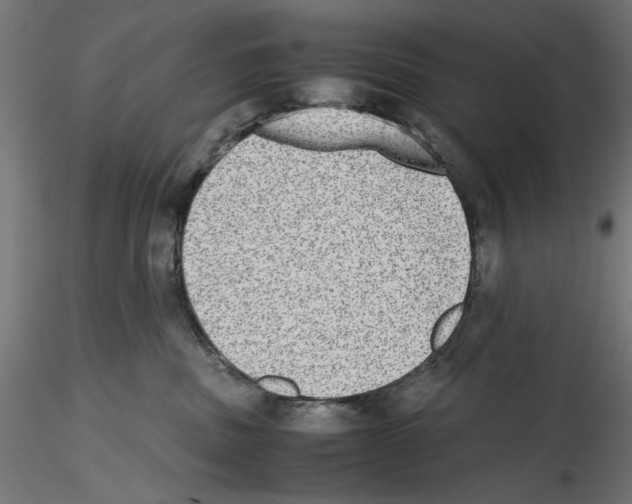 X0000116460379201001061043