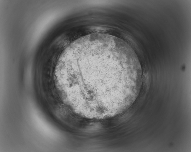 X0000116460381201001061043
