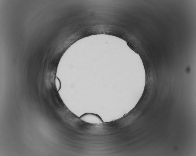 X0000116460382201001061043
