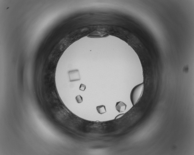 X0000116460383201001061043