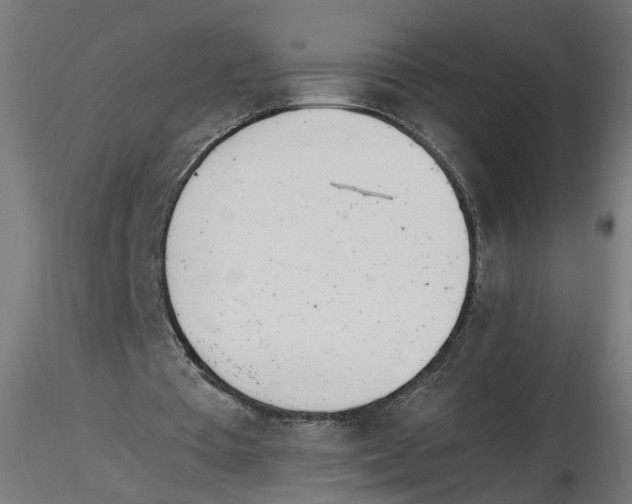 X0000116460385201001061043