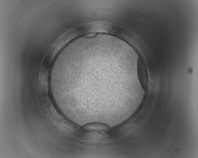 X0000116460386201001061043