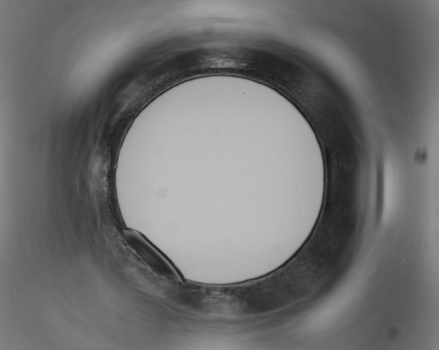X0000116460387201001061043