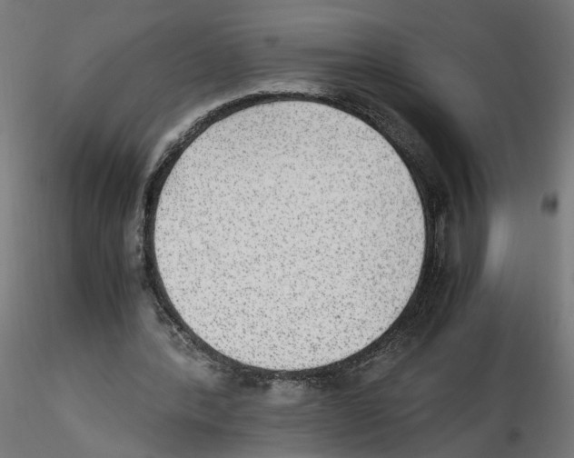 X0000116460388201001061043