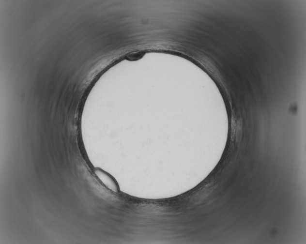 X0000116460389201001061043