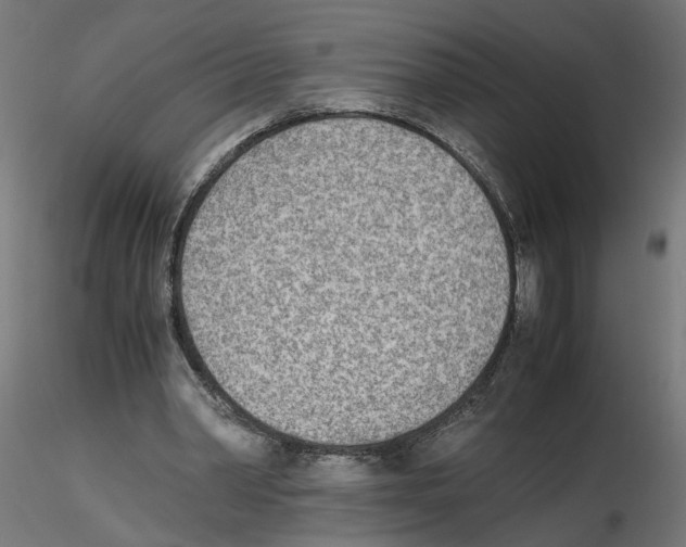 X0000116460390201001061043