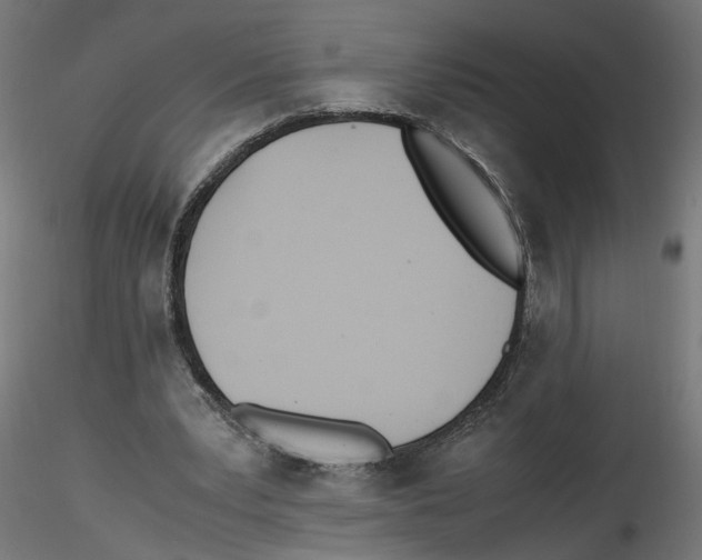 X0000116460391201001061042