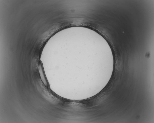 X0000116460393201001061042