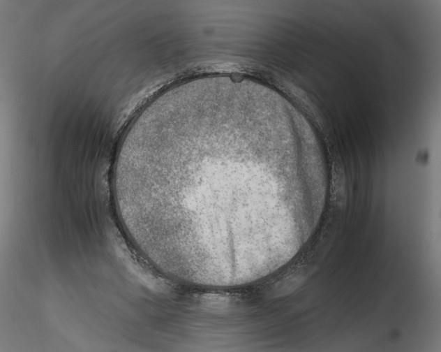 X0000116460394201001061042