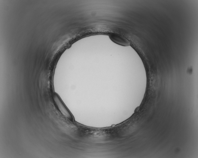 X0000116460395201001061042
