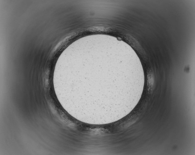 X0000116460396201001061042