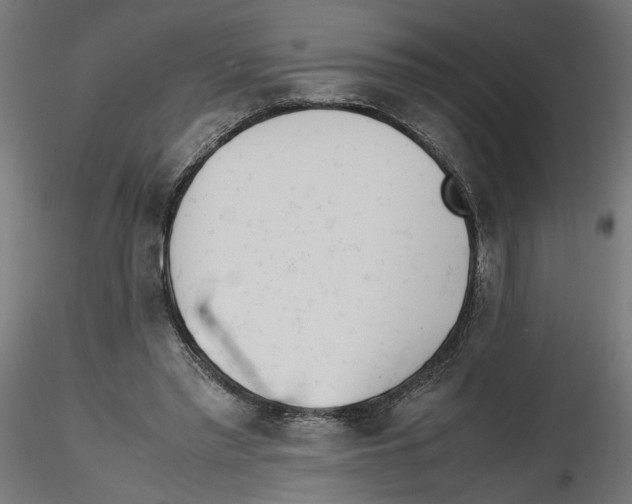 X0000116460397201001061042